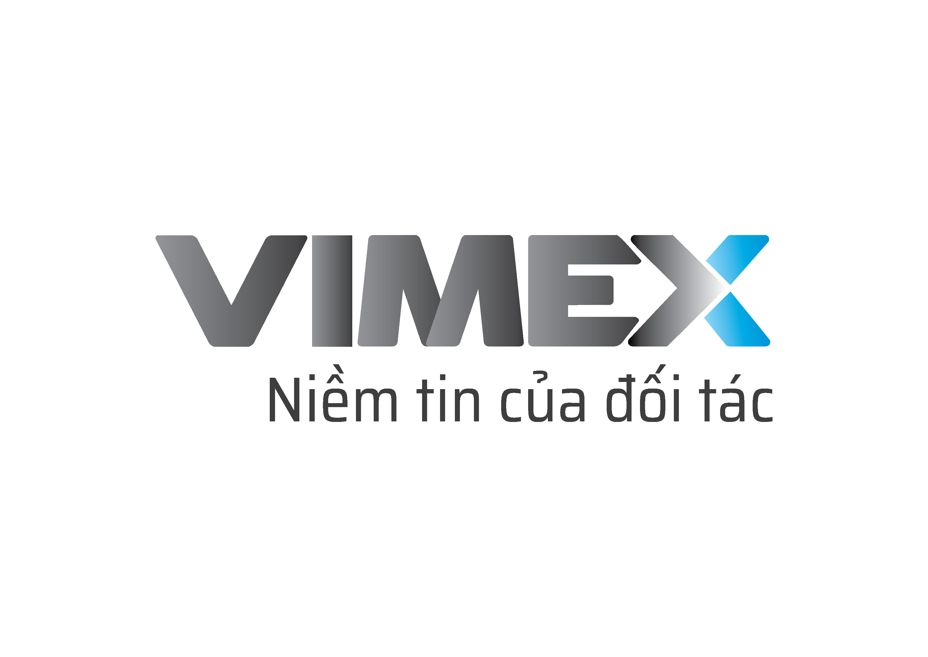 logo vimex final 1 03