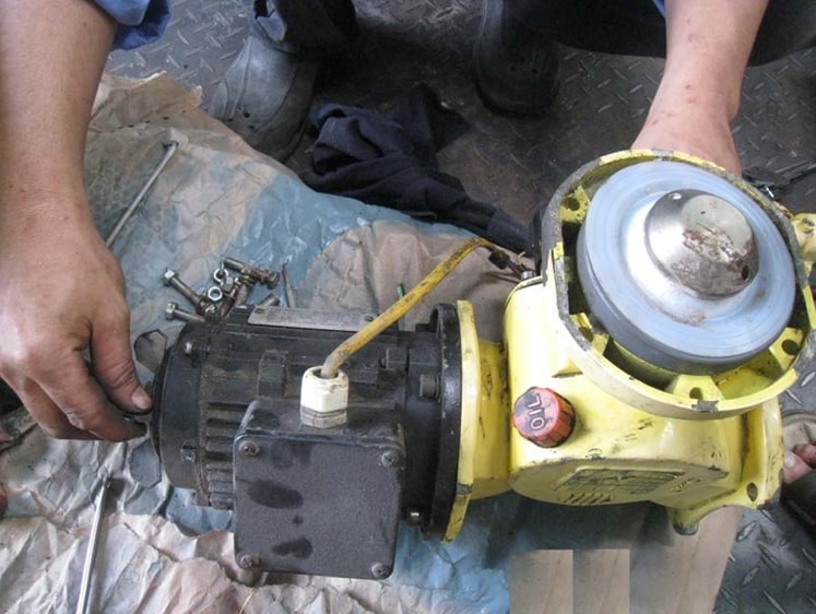 huong dan thay the oil seal bi rach tren bom dinh luong milton roy 4