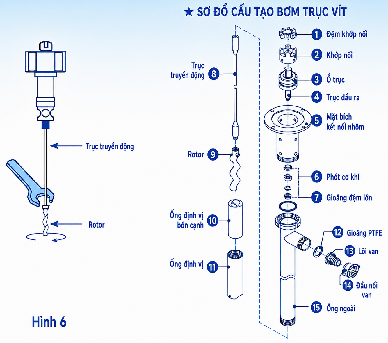so do cau tao bom truc vit