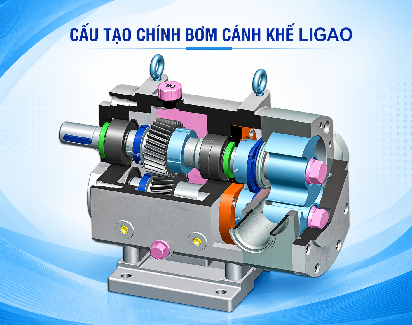 cau tao chinh bom canh khe ligao
