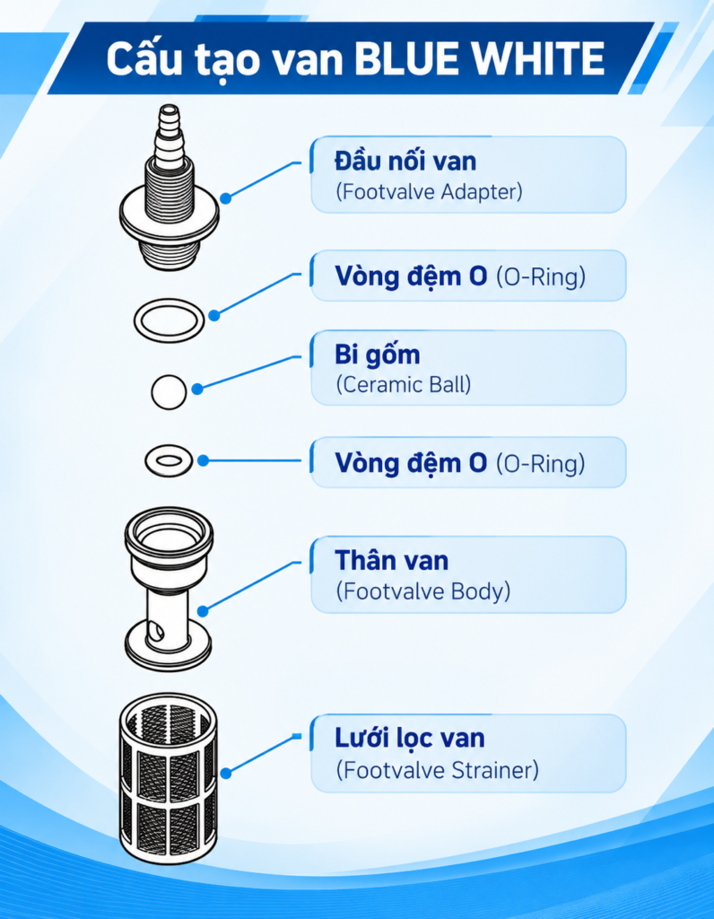 cau tao van blue white