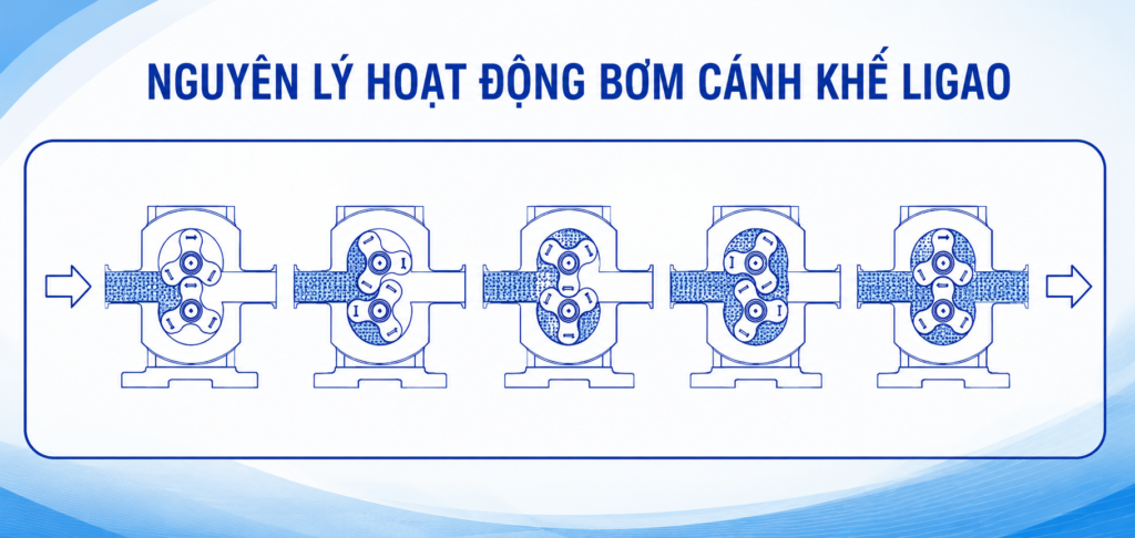 Bơm cánh khế LIGAO RT – Cấu tạo, nguyên lý, ứng dụng 3 nguyen ly hoat dong bom canh khe ligao